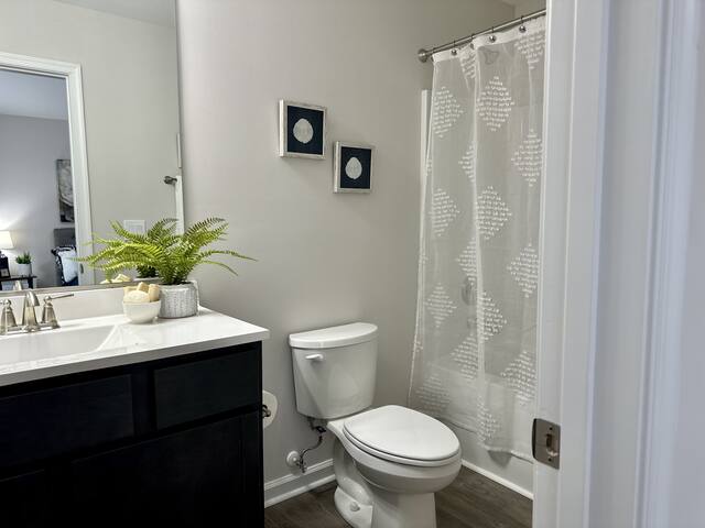 Updated bathroom with new vanity